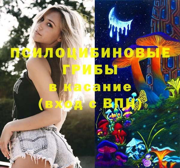 2c-b Алзамай