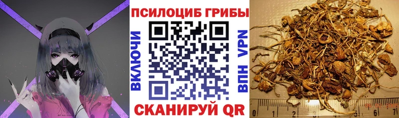 блэк спрут tor  Карпинск  Псилоцибиновые грибы Psilocybine cubensis 
