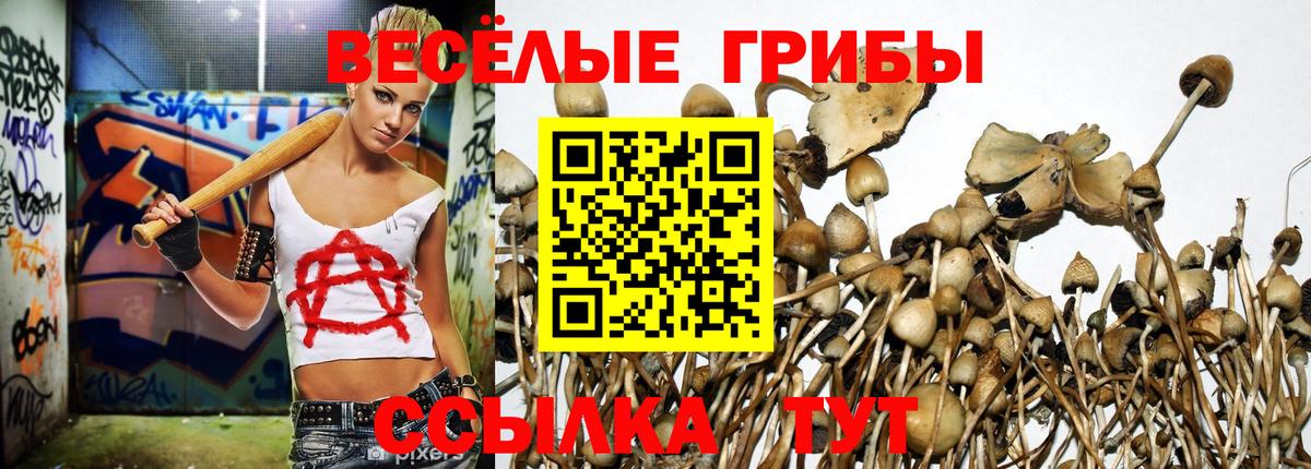 продажа наркотиков  Галлюциногенные грибы Psilocybine cubensis  Вход с VPN  Галлюциногенные грибы Cubensis  Карпинск 