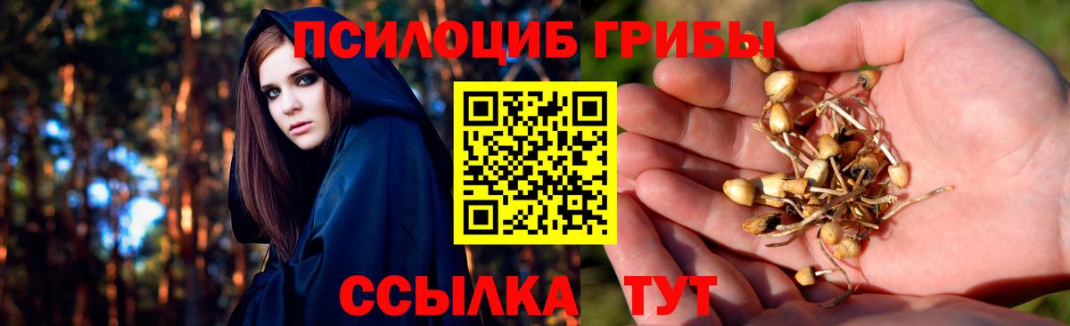 Галлюциногенные грибы ЛСД Карпинск